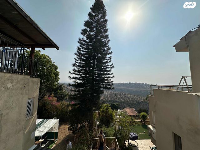 דו משפחתי, אלפי מנשה