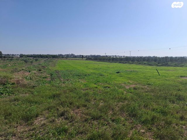 משק חקלאי/ נחלה