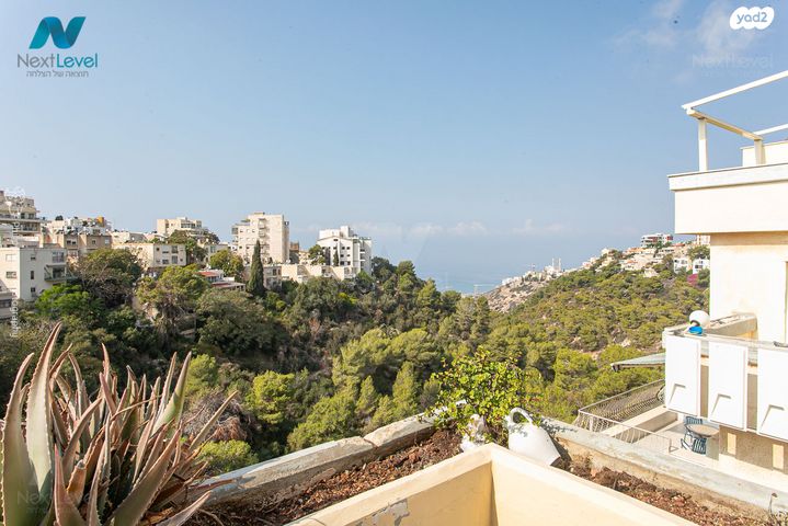 דופלקס, מנחם בייליס, כרמליה, חיפה