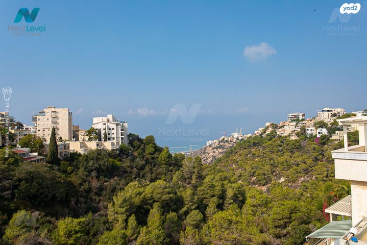 דופלקס, מנחם בייליס, כרמליה, חיפה