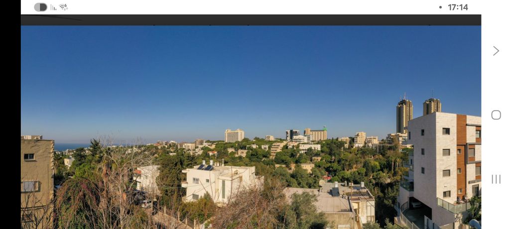 שושנת הכרמל 