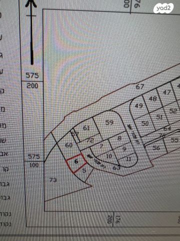 מגרשים, פלורי אשר, כלניות, באר שבע