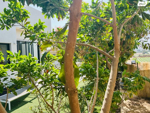 בית פרטי/ קוטג', שכונת ותיקים, אבן יהודה