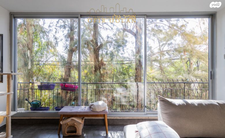 דירה, הרצליה