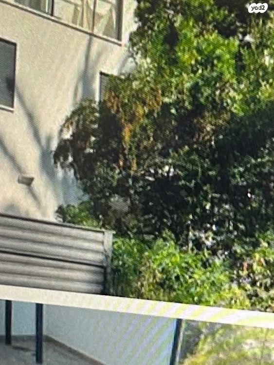 בית פרטי/ קוטג', בנימין, תל בנימין, רמת גן