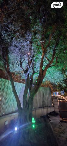 בית פרטי/ קוטג', שלמה מיכואלס 25, כצנלסון, ראשון לציון