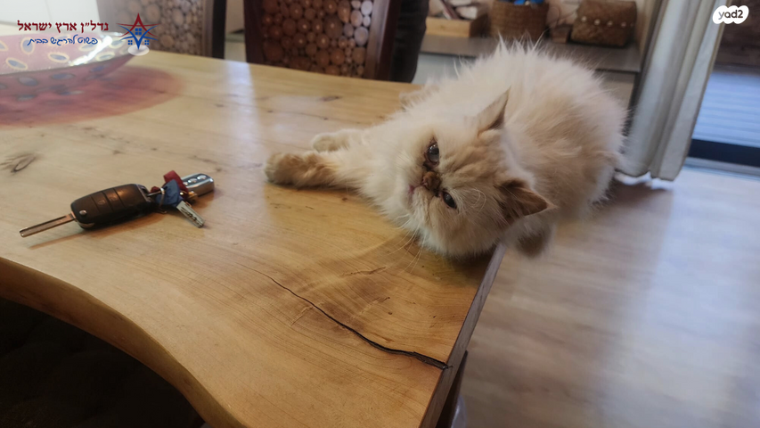 דירה, המעגל, פועלי הרכבת, גבעתיים