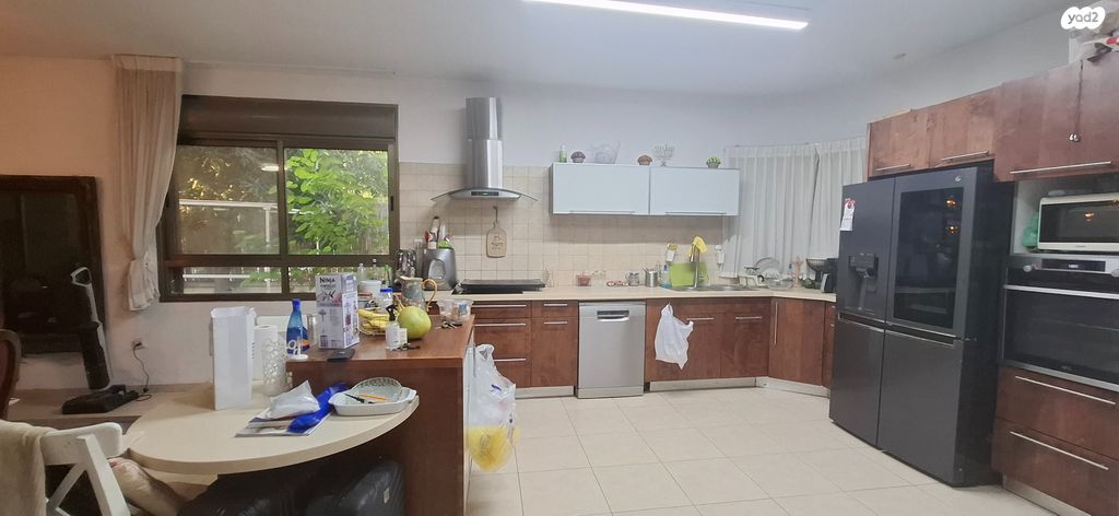 שלמה מיכואלס 25