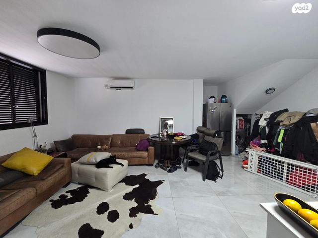 דירה, ג'סי כהן, חולון