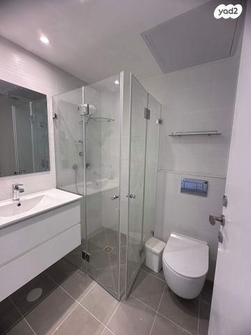 גג/ פנטהאוז, יצחק שמיר, בית בפארק ,פרדס בחסכון, אור יהודה