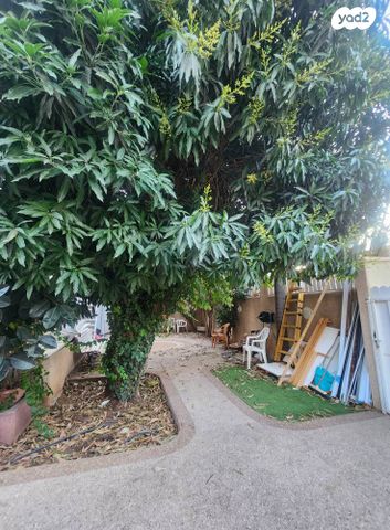 דירת גן, הגולן, רמת החייל, תל אביב יפו