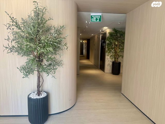 שמעון מישורי 