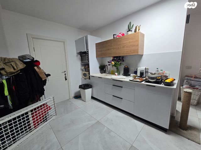 דירה, ג'סי כהן, חולון