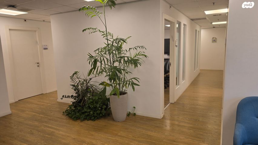 חנויות/ שטח מסחרי, סטארטסיב / רמת סיב, פתח תקווה