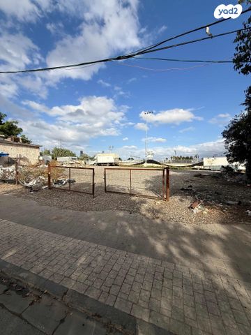 לודוויפול 12