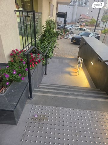 משרדים, המאפיה, מרכז העיר, אילת