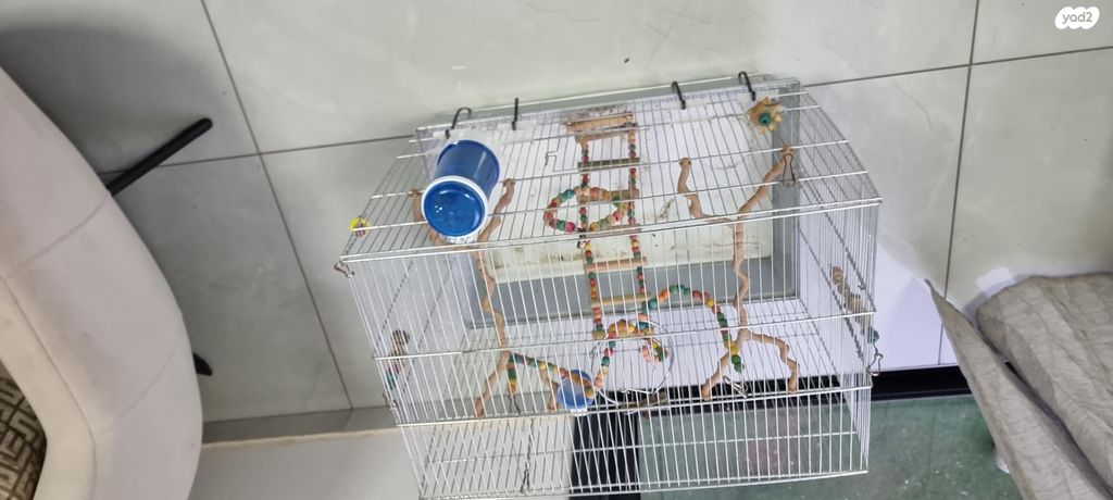 תמונת מודעה - חיות מחמד