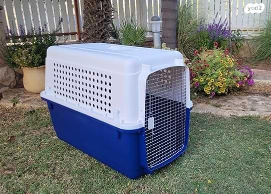 תמונת מודעה - חיות מחמד