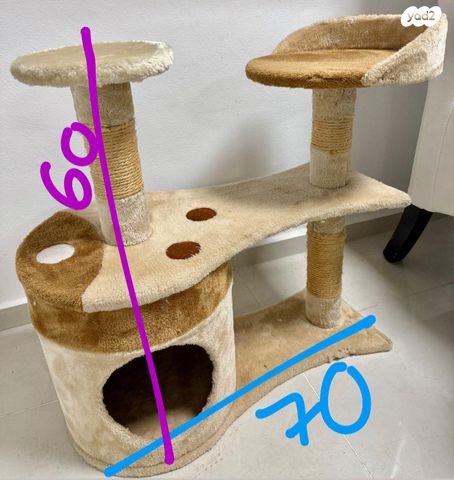 תמונת מודעה - חיות מחמד