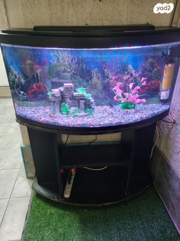 תמונת מודעה - חיות מחמד