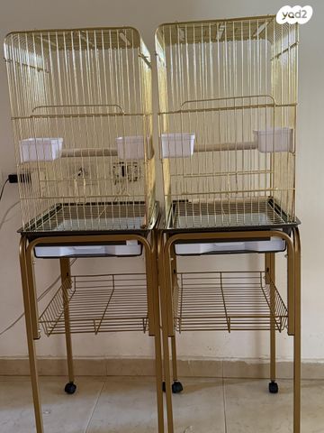 תמונת מודעה - חיות מחמד