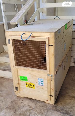 תמונת מודעה - חיות מחמד