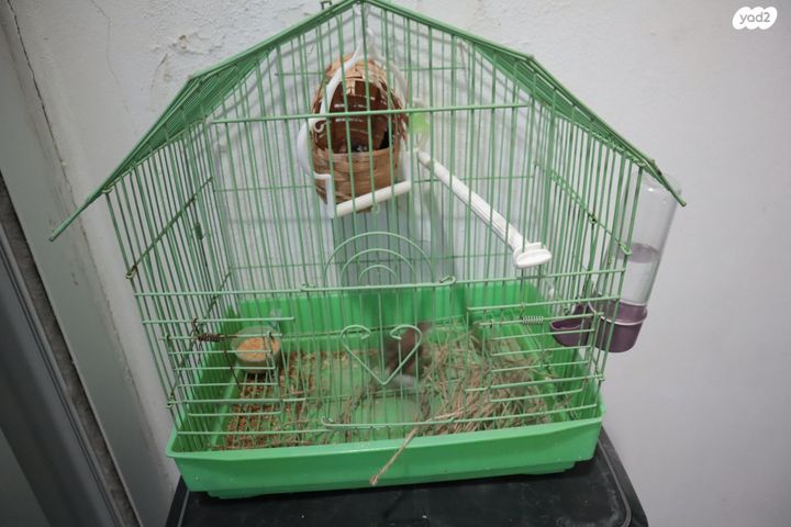 תמונת מודעה - חיות מחמד