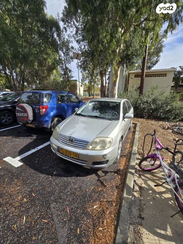 טויוטה קורולה