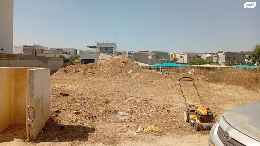 שושן צחור 18