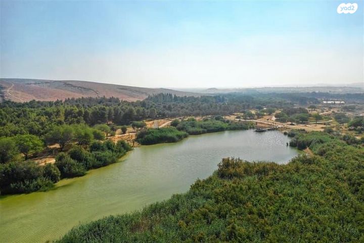 מגרשים, בר יוחאי 22, אירוס, ירוחם