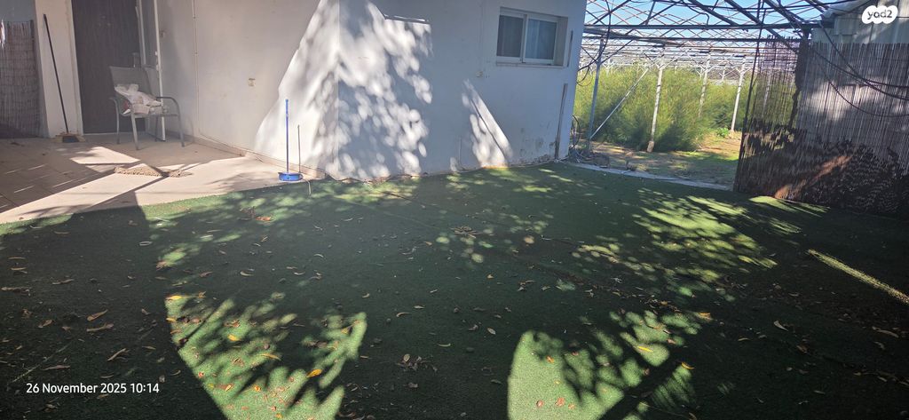 מורד התאנה 30