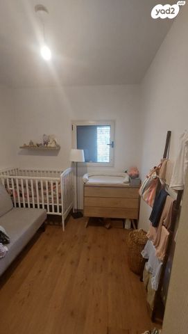 דוד אבידן 13