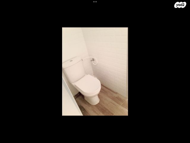 ברודצקי אשר 19