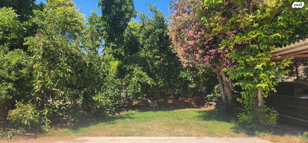 דרך פרחי הבר 1