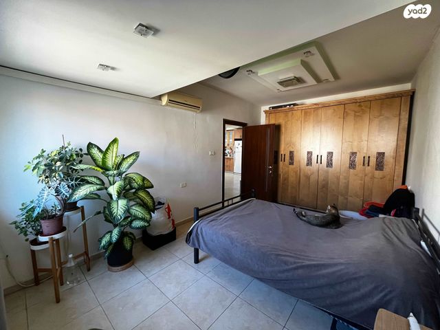 שמחה הולצברג 8