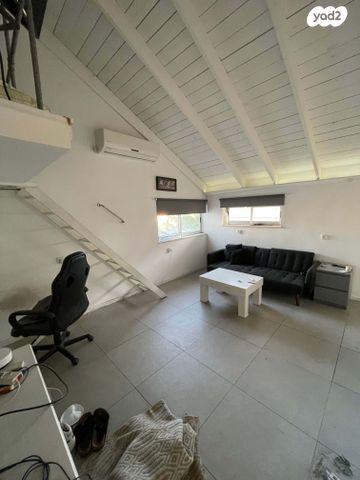 פנחס רוזן 28