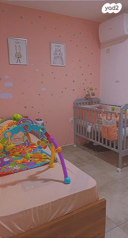 דירה, התלמוד 6, כוכב הצפון, אשקלון