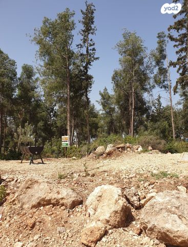 דירה, תאנה 24, החורש, חריש