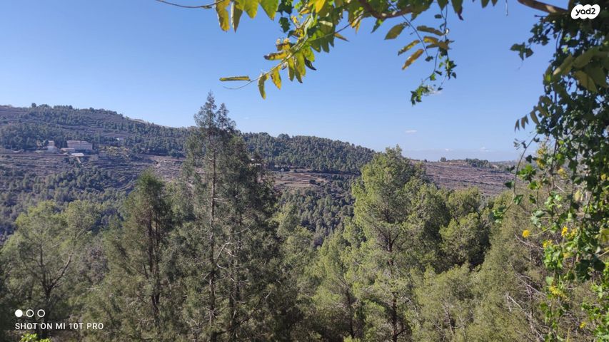 דירת גן, מרווה 22, גילה, ירושלים