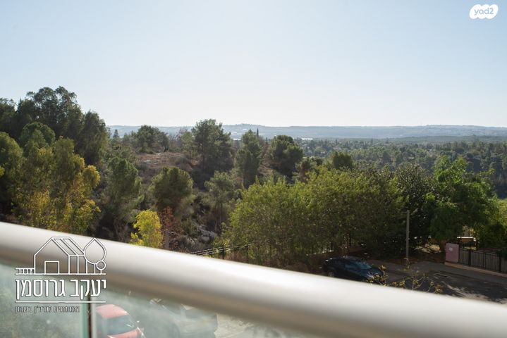 דירה, נחל אלכסנדר, צור יצחק, צור יצחק