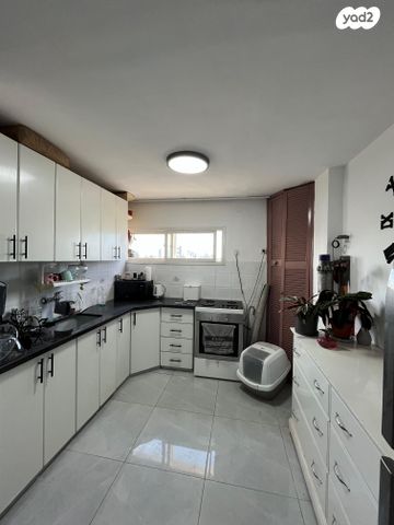 רחבת הר הזיתים 