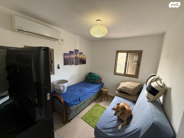 דירה, שבטי ישראל, קרית חיים מזרחית, חיפה