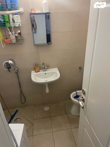 צפניה הנביא 6