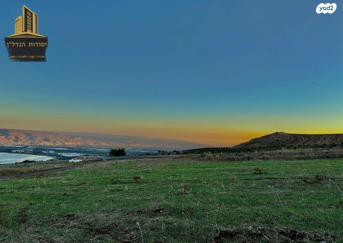 מגרשים, פוריה עילית, פוריה עילית