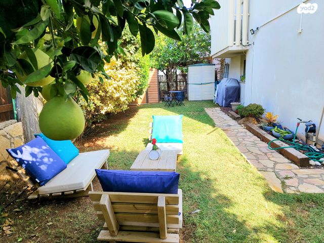 דו משפחתי, צופים, צופים