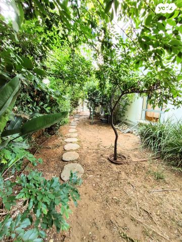 דו משפחתי, חוחית, אלפי מנשה