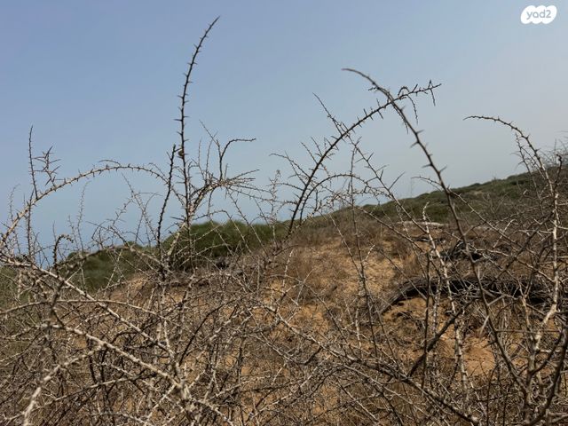 משק חקלאי/ נחלה