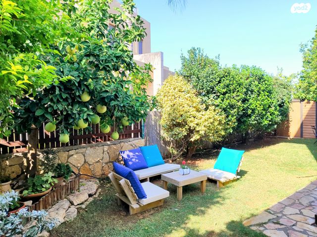 דו משפחתי, צופים, צופים