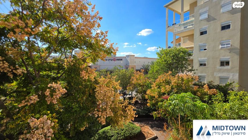 דירה, כפר סבא