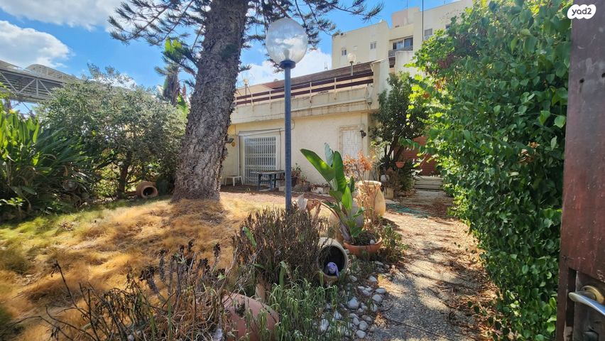 יהודה המכבי 